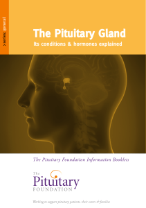 Pituitary-Gland email-ver