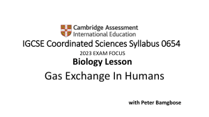 Gas-Exchange-in-Humans-CAIE-Biology-IGCSE