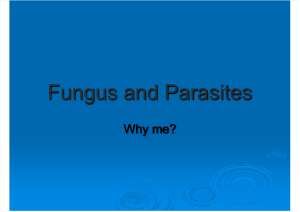 Fungus and Parasite