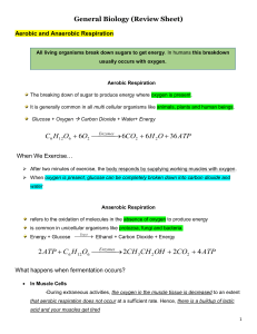 General Biology Review Sheet