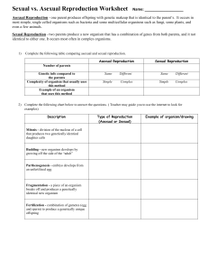 G8 NB sexual and asexual handout