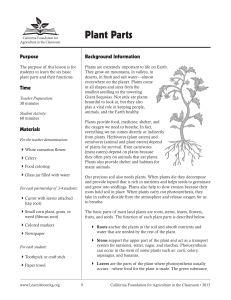 plants parts