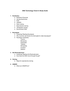 Copy of 56 -DNA Technology Study Guide