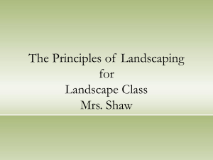 Section 1 The Principles of Landscaping (1)