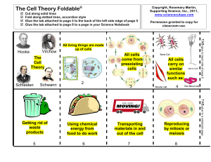 TheCellTheoryFoldable-1