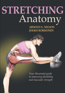 Stretching anatomy pdf