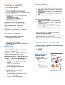 ENDO-REVIEWER