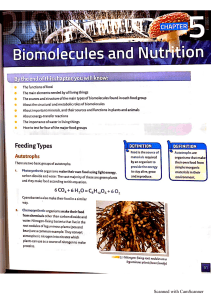 Biomolecules & Nutrition: Autotrophs