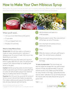 RR Hibiscus-Syrup recipe-card