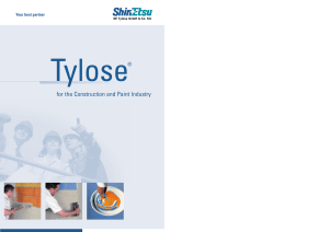 for the Construction and Paint Industry - SE Tylose® GmbH &amp; Co. KG