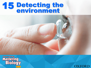 NSSBIO3 Ch 15 Detecting the Environment