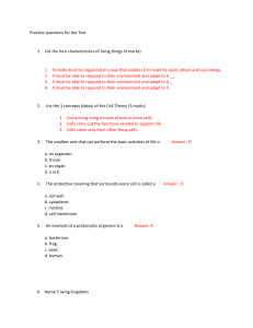 Practice questions for the Test 1- Grade 6
