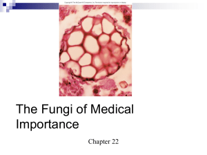 MC 1 - Fungi of Medical Importance