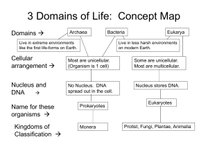 organization of life concept map