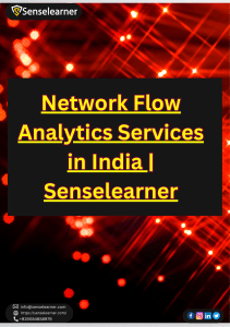 Network Flow  Analytics Services in India | Senselearner