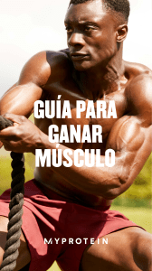 Muscle Gain Guide Workout guide ES