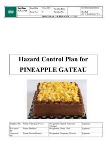 HACCP Pineapple Gateux