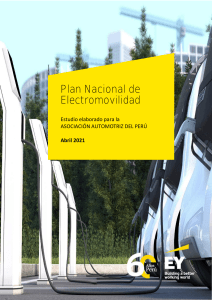 AAP Plan Nacional de Electromovilidad-completo-comprimido