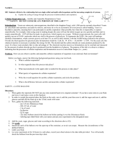 yeast cellular respiration lab intro