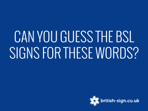 BSL Signs Quiz: Can You Guess the Signs?