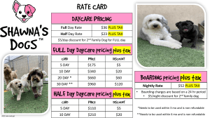 2023 rate card