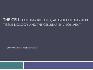 The Cell: cellular biology, altered cellular and tissue biology and the cellular environment