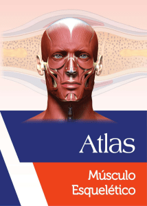 ATLAS Musculo Esqueleticoi
