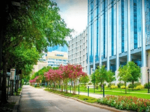 Why Should You Hire A Furnished Texas Medical Center