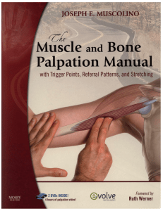  the-muscle-and-bone-palpation-manual-pdf-free