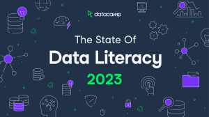 The State of Data Literacy 2023