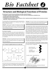 Protein Structure & Function: A Biology Factsheet