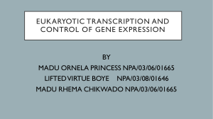 EUKARYOTIC TRANSCRIPTION AND CONTROL OF GENE EXPRESSION