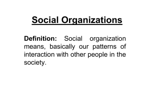 Social Organizations copy