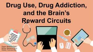 Biological Psychology - Drug Use, Drug Addiction and Brain's Reward Circuits
