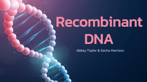Kami Export - Recombinant DNA Assessment PowerPoint