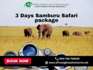 Experience the Wild: 3 Days Samburu Safari Package