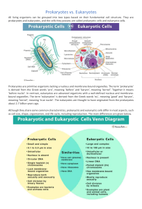 Prokaryotes vs Eukaryotes + image + venn diagram