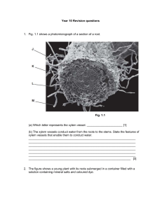 Year 10 Biology revision questions