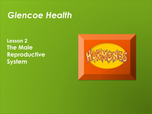 Glencoe Health PPT Chapter 16 Lesson 2