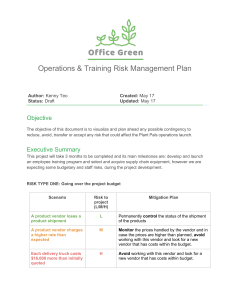 Risk-management-plan