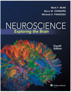 Neuroscience: Exploring the Brain Textbook