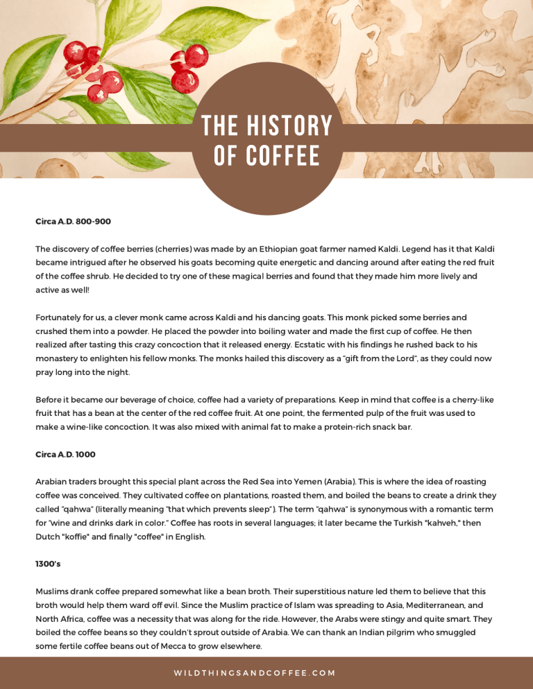 essay on history of coffee