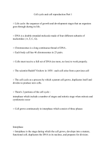 Cell cycle and cell reproduction Part 1