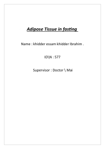 Adipose Tissue in fasting kkk