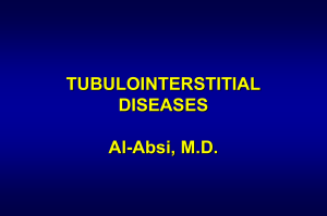 tubulo-interstitial-nephropathy (1)