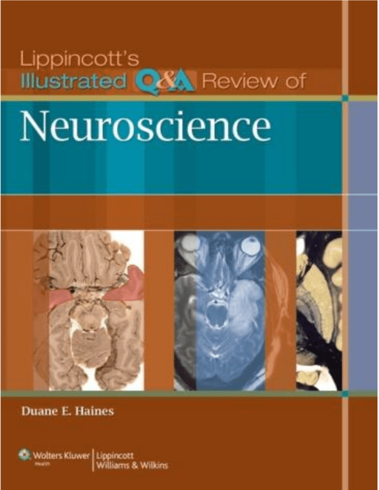 lippincotts illustrated q&a review of neuroscience pdf download