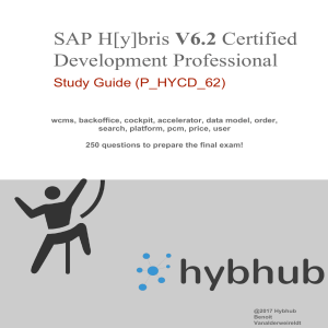ap-hybris-developer-handbook-62