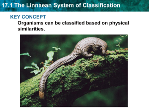 17.1 The Linnean System of Classification