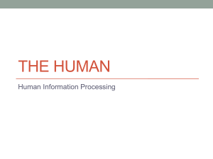 human-information-processing