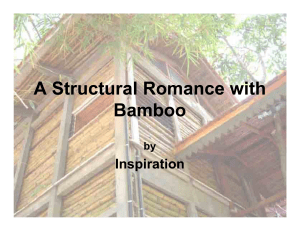 119770110-Bamboo-pdf
